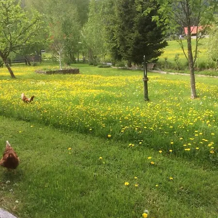 Wohnung Laerchberg * Lofer