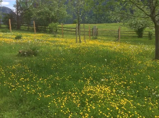 Wohnung Laerchberg * 로페르