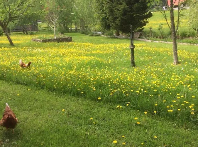 Wohnung Laerchberg * 로페르